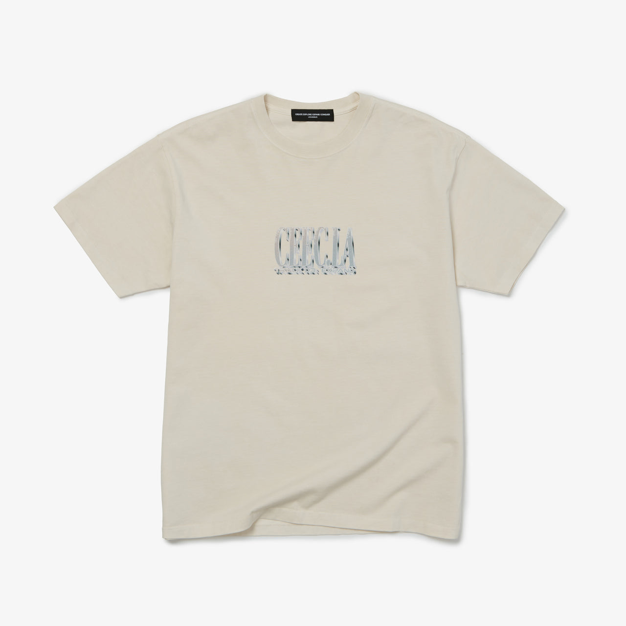 Expand Logo T-Shirt in Vintage White