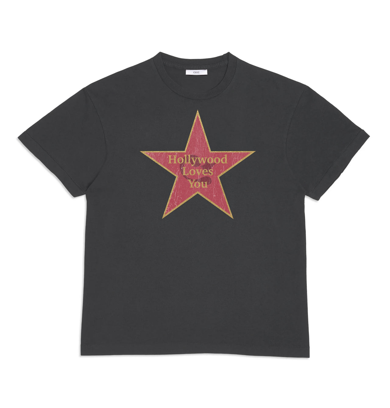 Hollywood Star T-shirt in Washed Black