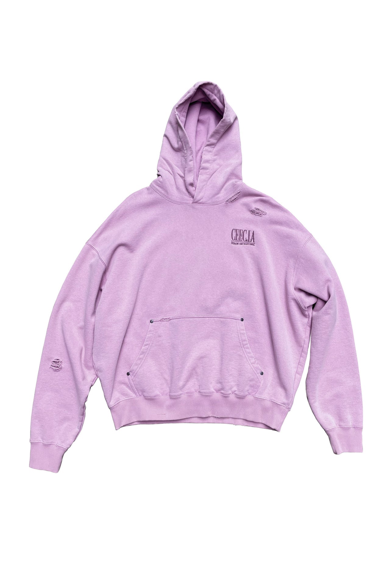 Classic Charm Graphic Embroidery Hoodie in Purple