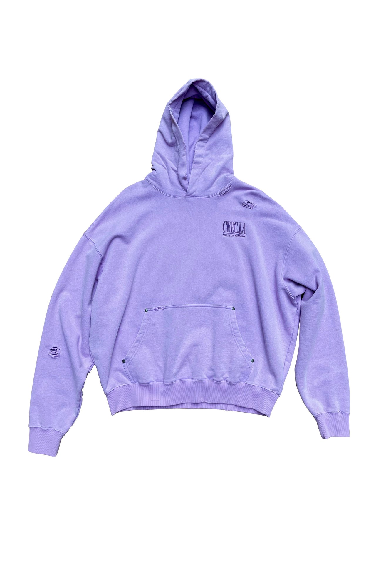 Classic Charm Graphic Embroidery Hoodie in Purple
